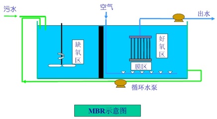 震撼!全国首个零排放工厂化循环水模式,助力牛蛙打造中国乃至世界知名水产品!